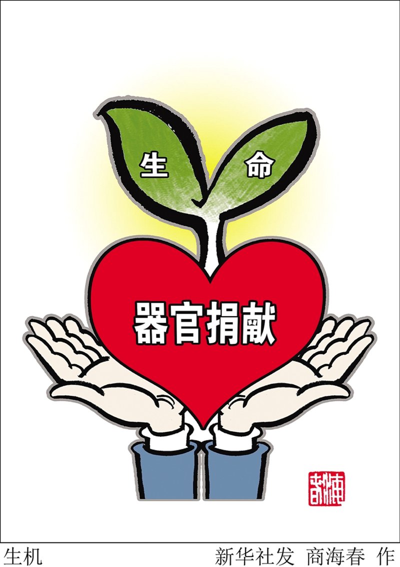 肾移植：生命的重生与希望