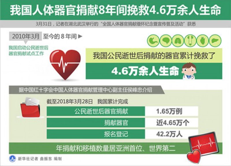 肾移植：一次生命之光的传递
